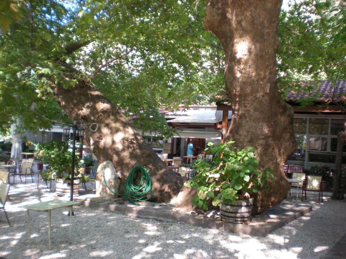Difo Hotel Loutra Edipsou  Luaran gambar